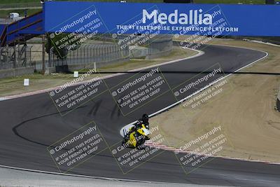 media/Mar-17-2024-Fastrack Riders (Sun) [[c7d6f8c14c]]/Level 2/Turn 5/